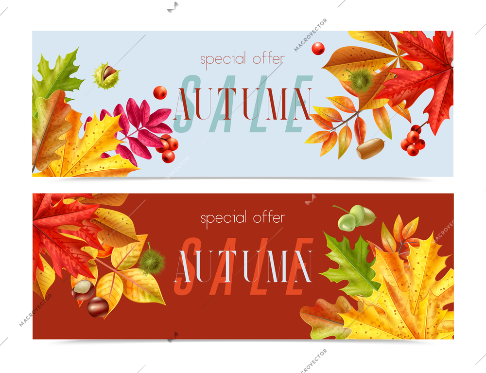 Realistic fall sale banners with editable text and images of fallen leaves with cones and berries vector illustration