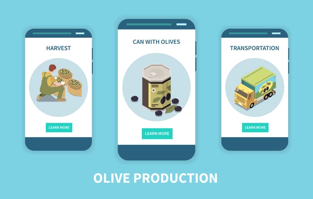 Olive production isometric set of three vertical banners with learn more buttons and images of harvest vector illustration