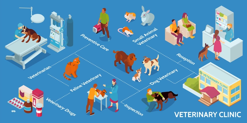 Isometric veterinary infographic with preventive care small animal veterinary reception of clinic dog veterinary and other descriptions vector illustration