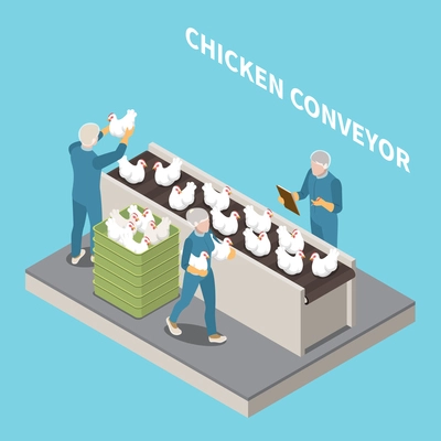 Chicken conveyor blue background with staff inspecting poultry for culling and keeping records isometric vector illustration