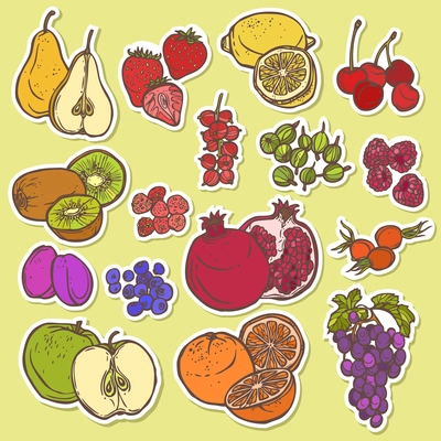 Natural organic fruits and berries icons set of cherry pomegranate plum isolated vector illustration