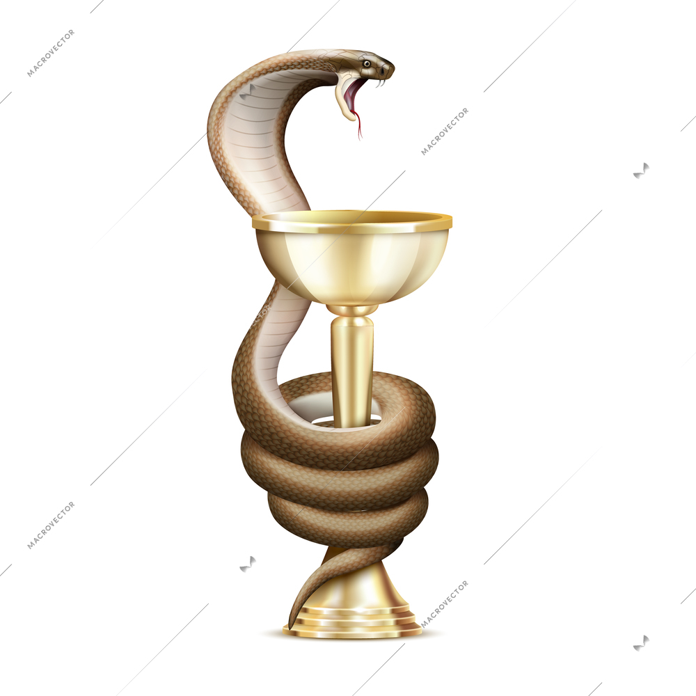 Medicine snake and bowl realistic composition with isolated image of cobra twisted round the golden cup vector illustration