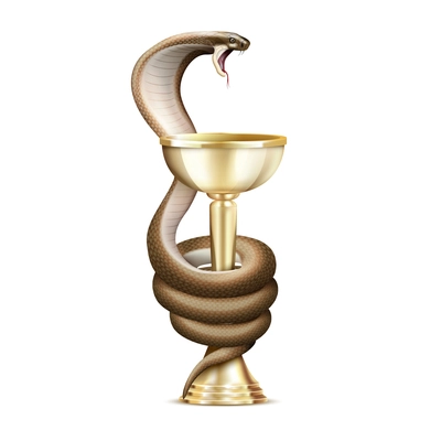 Medicine snake and bowl realistic composition with isolated image of cobra twisted round the golden cup vector illustration
