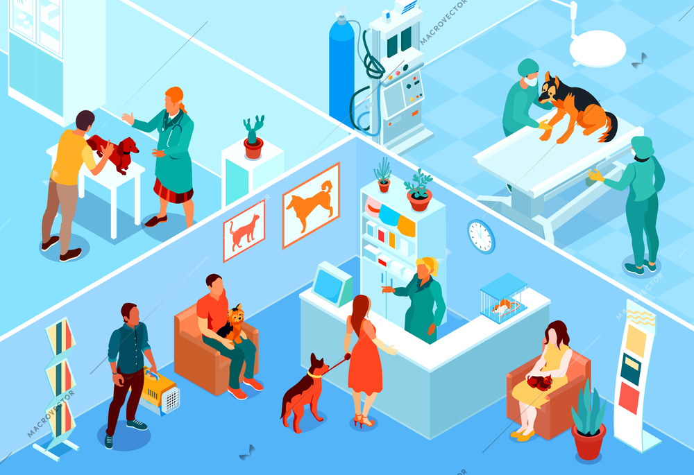 Colored isometric veterinary illustration with rooms in the clinic for different procedures vector illustration