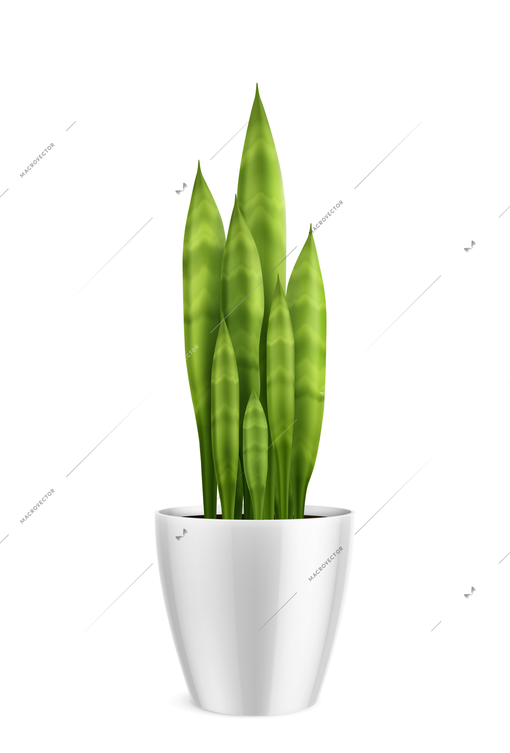 House plants in pot realistic composition with home grown tall plant isolated on blank background vector illustration