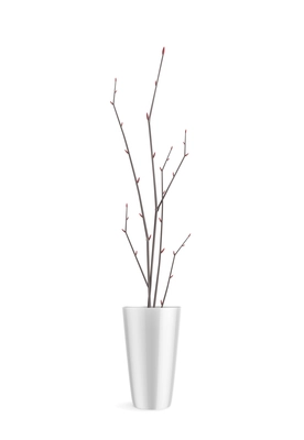 House plants in pot realistic composition with fresh tree branches in tall pot on blank background vector illustration