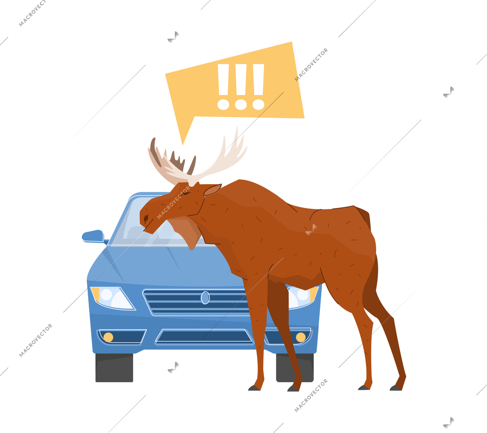 Car accident set flat composition with elk crossing road with thought bubble and moving car vector illustration