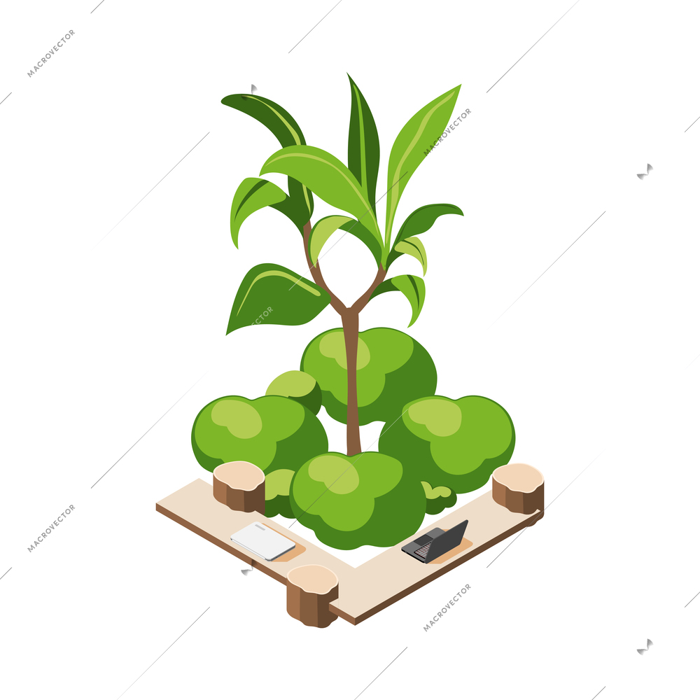 Green office isometric composition with icons of plants with leaves and workplace with wooden tables vector illustration