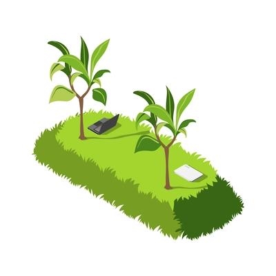 Green office isometric composition with icons of laptops plants with grass hill and plants vector illustration