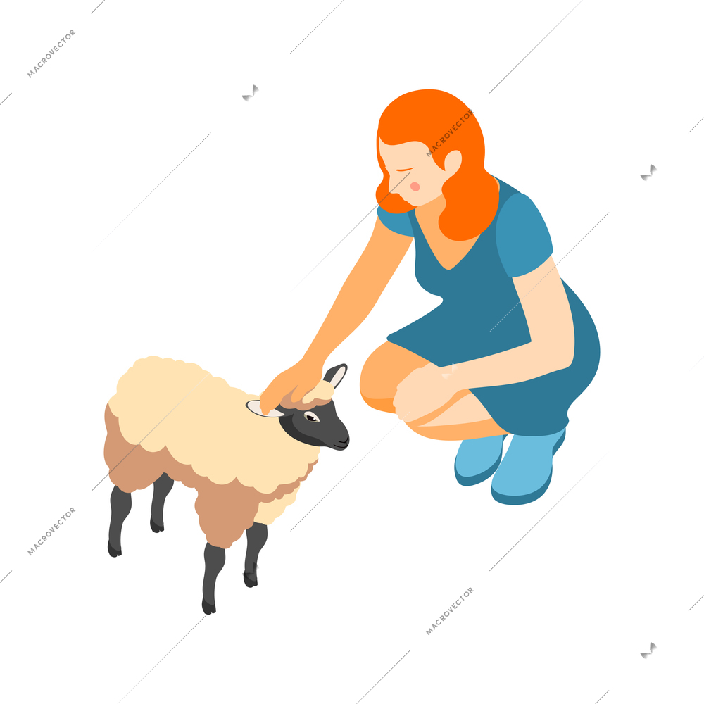 Contact zoo contact farm zoocafe isometric icons composition with female character stroking sheep vector illustration