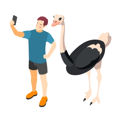 Contact zoo contact farm zoocafe isometric icons composition with character of man taking selfie with camel bird vector illustration