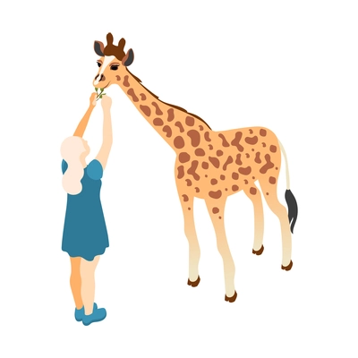 Contact zoo contact farm zoocafe isometric icons composition with giraffe eating leaves of girls hands vector illustration