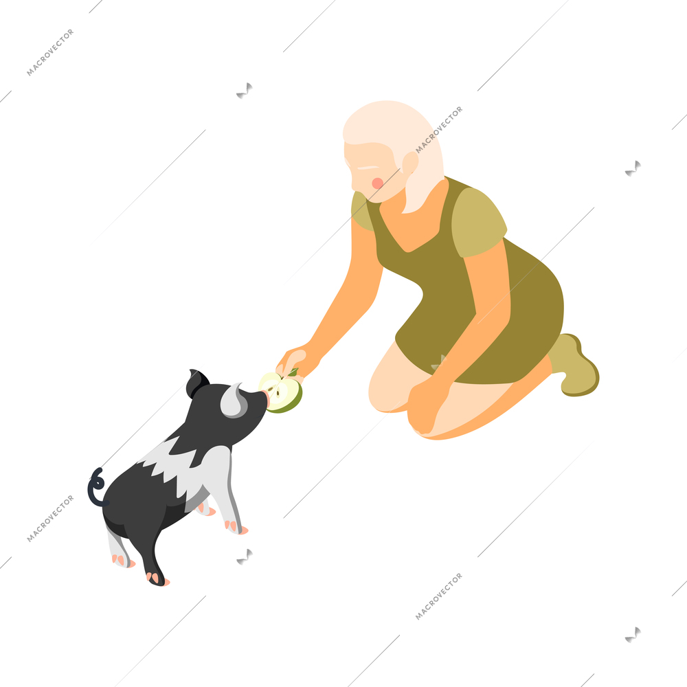 Contact zoo contact farm zoocafe isometric icons composition with character of woman feeding animal with apple vector illustration