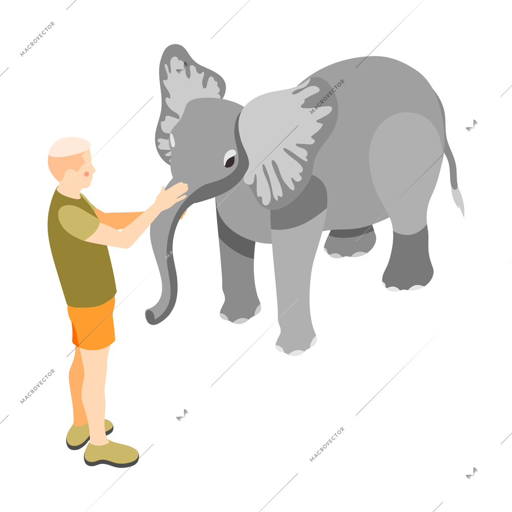 Contact zoo contact farm zoocafe isometric icons composition with man touching elephant on blank background vector illustration