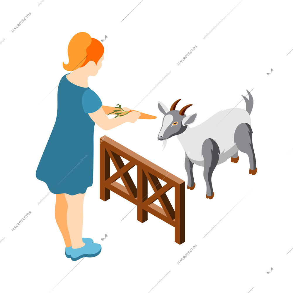 Contact zoo contact farm zoocafe isometric icons composition with woman character feeding goat with carrot vector illustration