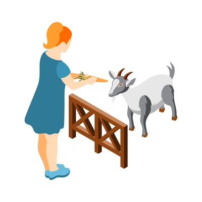 Contact zoo contact farm zoocafe isometric icons composition with woman character feeding goat with carrot vector illustration