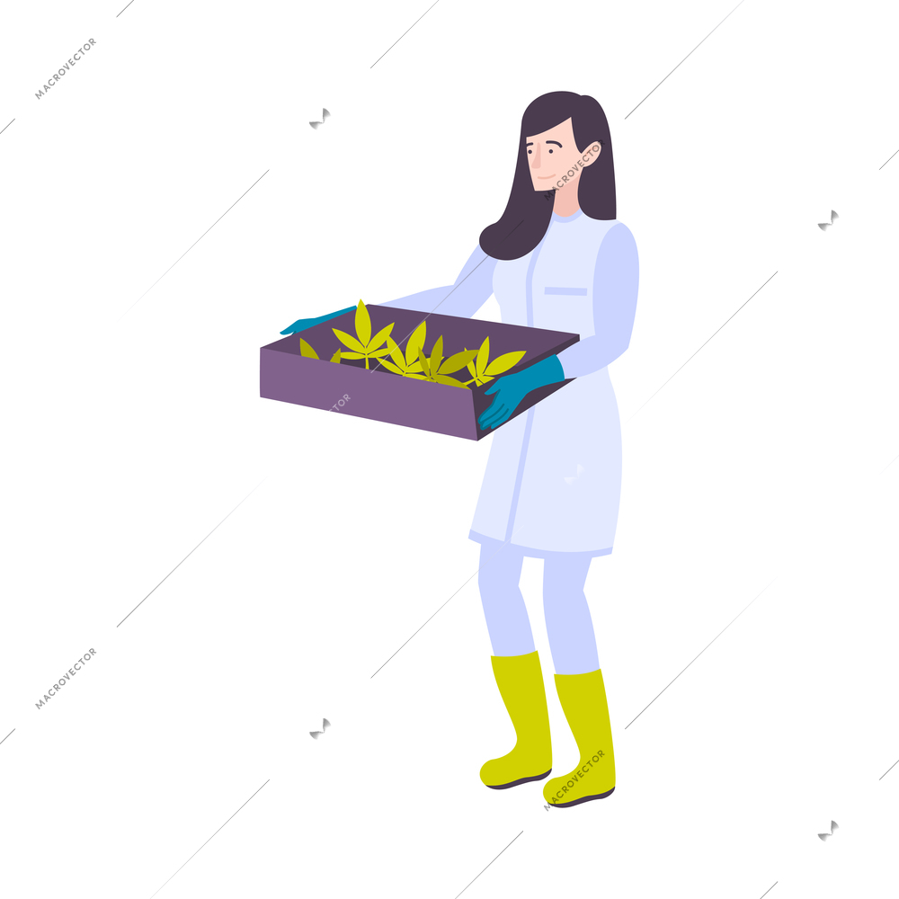 Cannabis hemp marijuana people composition with character of woman in uniform holding box with leaves vector illustration