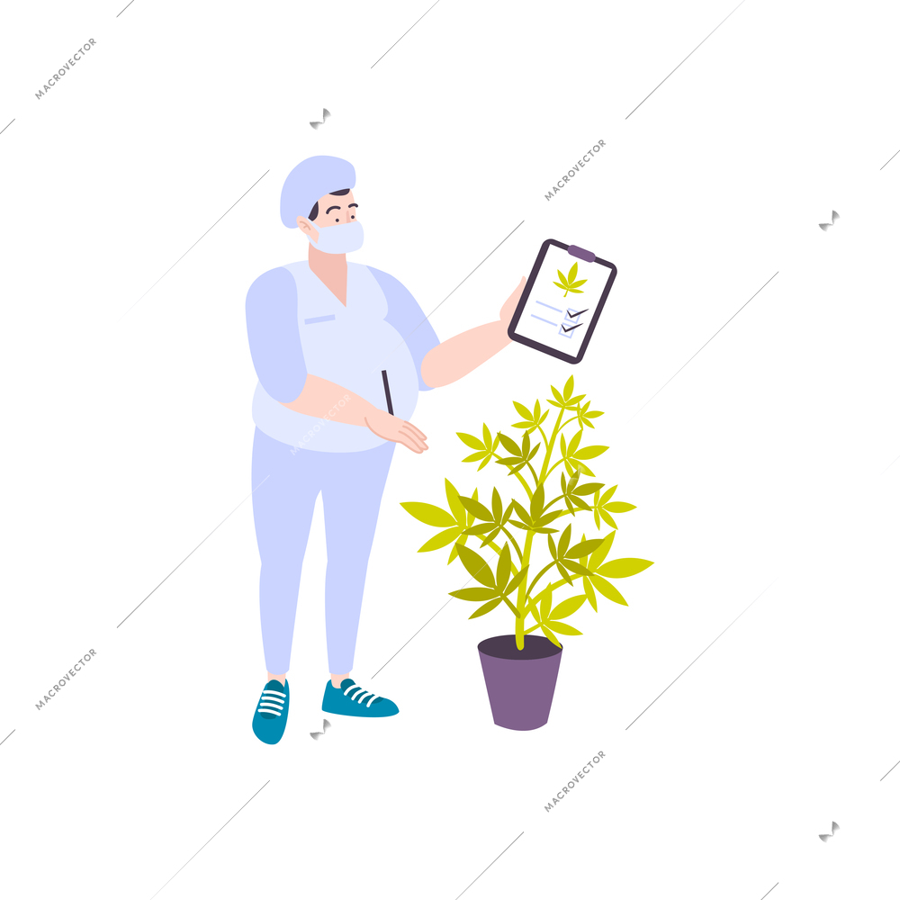 Cannabis hemp marijuana people composition with cannabis plant in pot and human character with quality checklist vector illustration