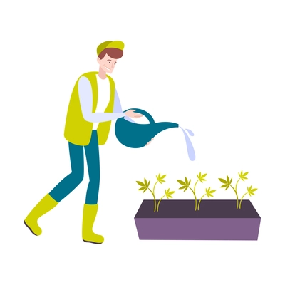 Cannabis hemp marijuana people composition with male human character watering growing cannabis plants vector illustration