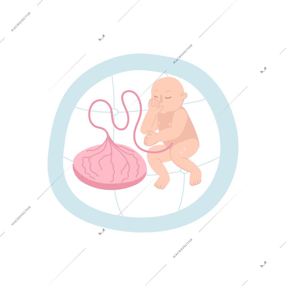 Childbirth motherhood flat composition with inner view of utero with fetus and placenta images vector illustration