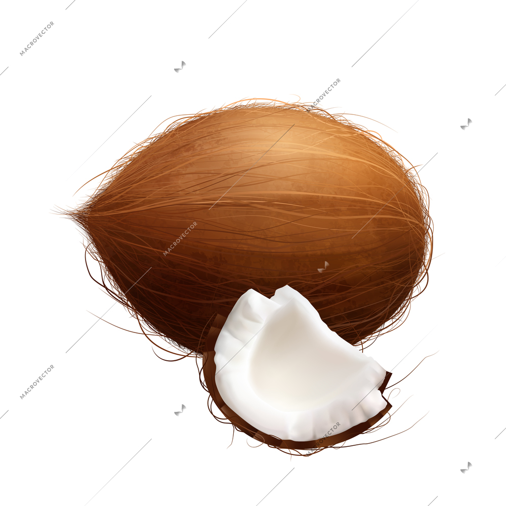 Exotic fruits big set realistic composition with images of whole coconut with piece of shell vector illustration