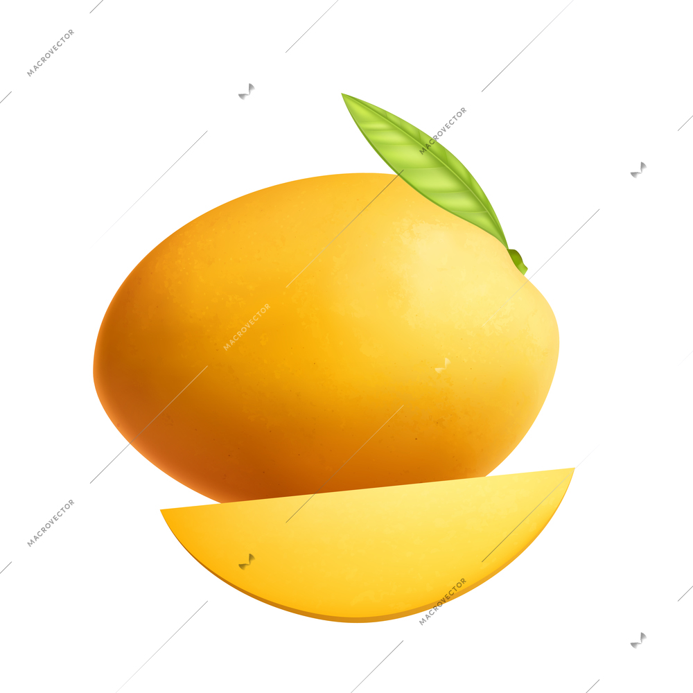 Exotic fruits big set realistic composition with image of whole mango fruit with slice and leaf vector illustration