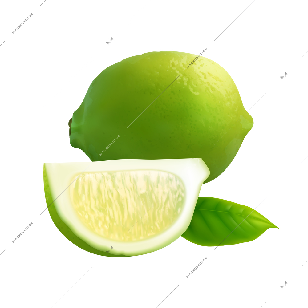 Exotic fruits big set realistic composition with images of whole lime with leaf and fruit slice vector illustration