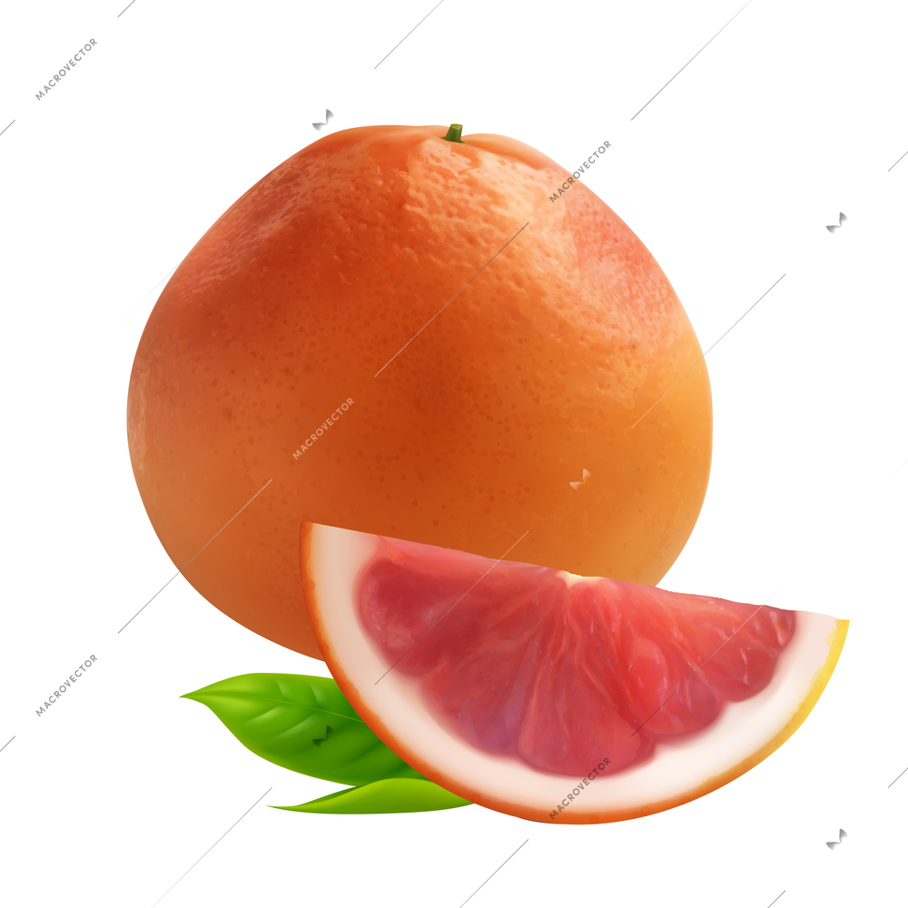 Exotic fruits big set realistic composition with images of whole grapefruit and slice with green leaves vector illustration