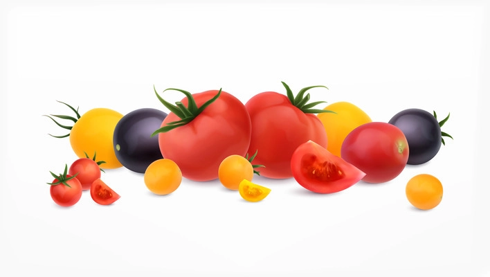 Ripe tomatoes realistic set with different sorts and colors vector illustration