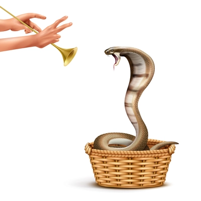 Cobra and snake charmer realistic composition with isolated images of human hands playing pipe and snake vector illustration