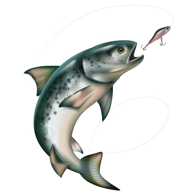 Jumping fish taking bait realistic composition on white background isolated vector illustration