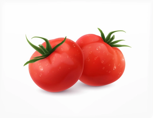 Tomatoes realistic design with red ripe sweet sort vector illustration