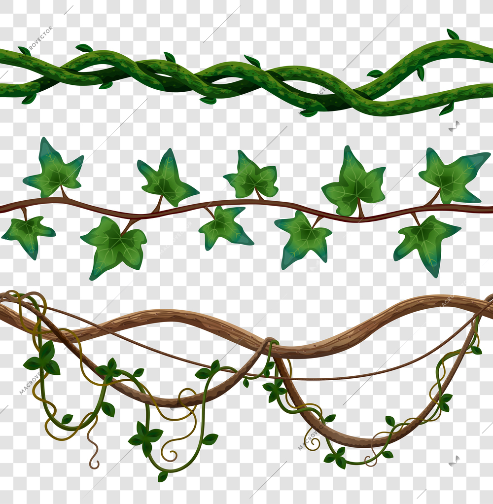 Liana seamless border set with isolated images of vine leaves on wooden stalks on transparent background vector illustration