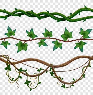 Liana seamless border set with isolated images of vine leaves on wooden stalks on transparent background vector illustration