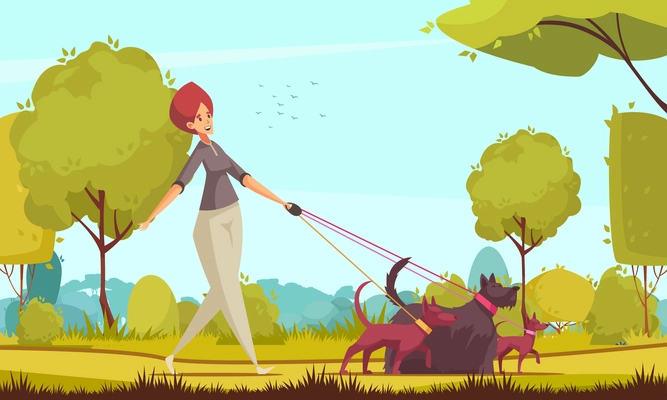 Dog sitter composition with cartoon female human character walking three different dogs with outdoor park landscape vector illustration