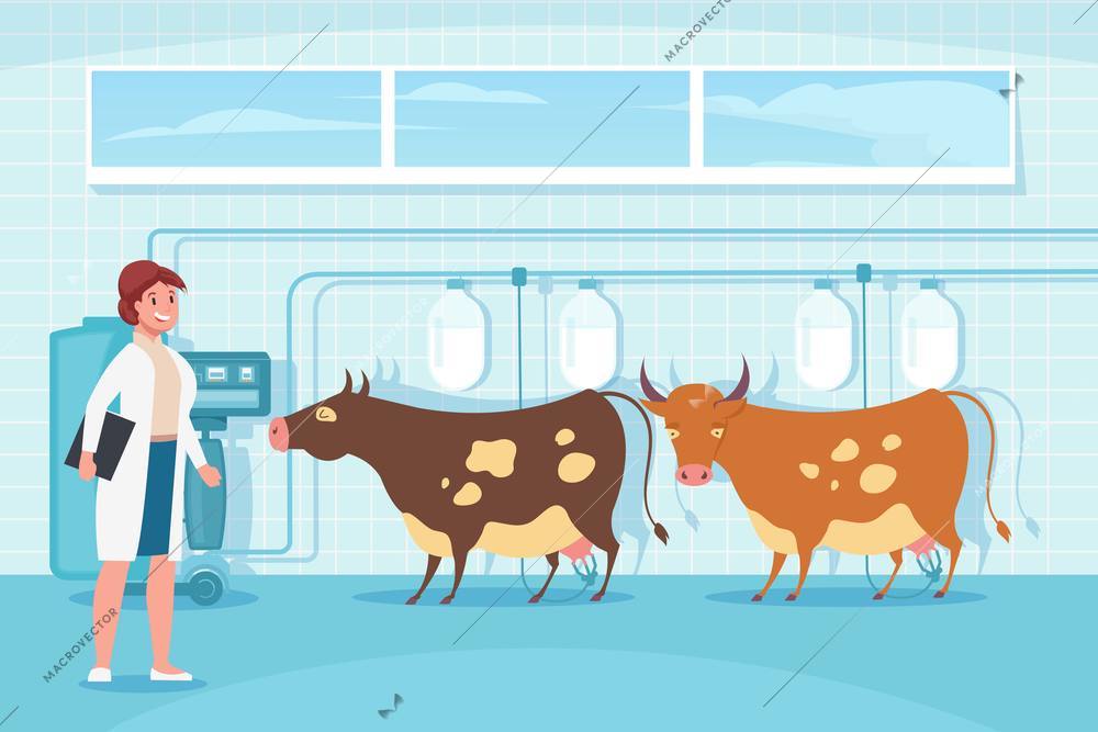 Mechanized milking cows flat composition with indoor scenery and doodle female character with animals and machinery vector illustration