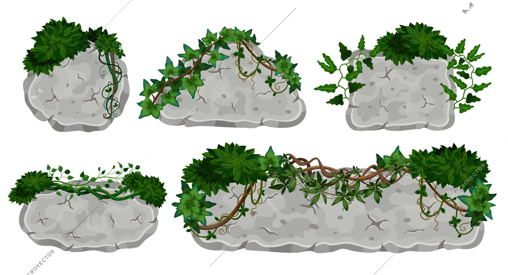 Tropical lianas stone boards set with isolated images of signboards made of rocks with vine leaves vector illustration