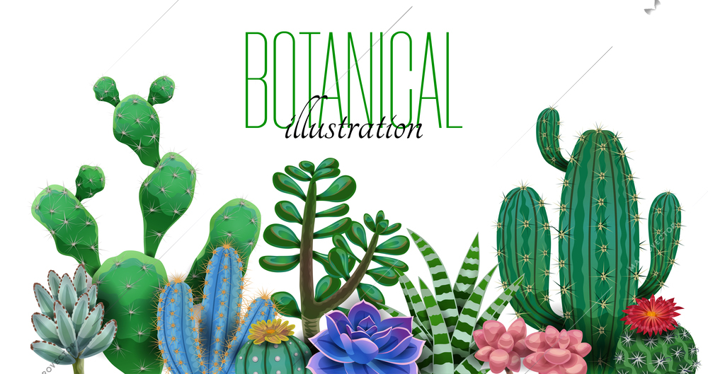 Cactus composition with editable ornate text and images of cactus plants of different species and shape vector illustration