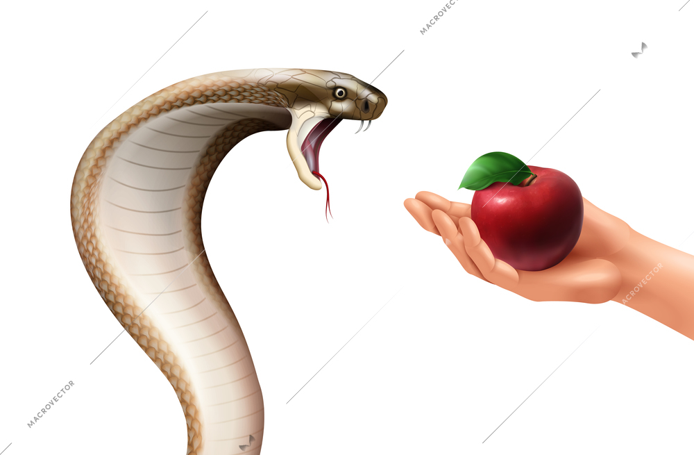 Snake and apple realistic composition with isolated images of hissing cobra and human hand holding fruit vector illustration