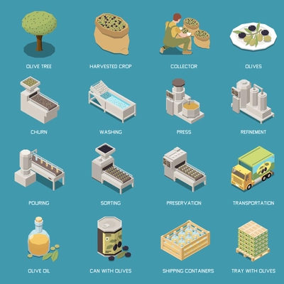 Olive production isometric set with isolated icons of factory equipment images of ready products and text captions vector illustration