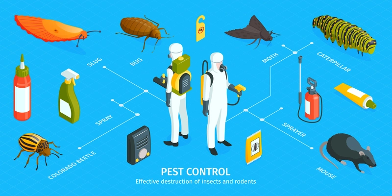 Isometric pest control infographics with editable text captions workers in chemical protection suits and vermin icons vector illustration