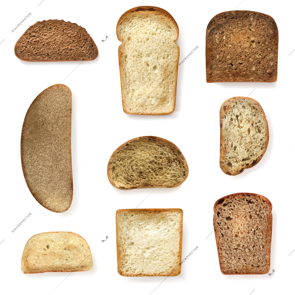 Different bread types slices set realistic isolated vector illustration