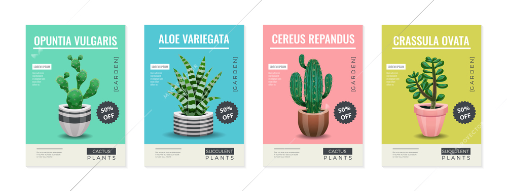 Cactus set of four vertical posters with editable text and images of cactus plants in pots vector illustration