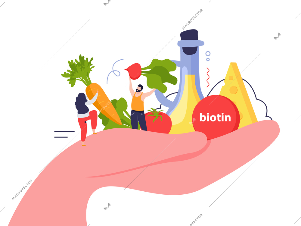 Vitamins in products in hand concept with biotin symbols flat vector illustration
