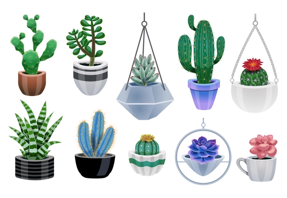 Cactus in pot set with isolated icons of colourful cactus plants and pots of various design vector illustration