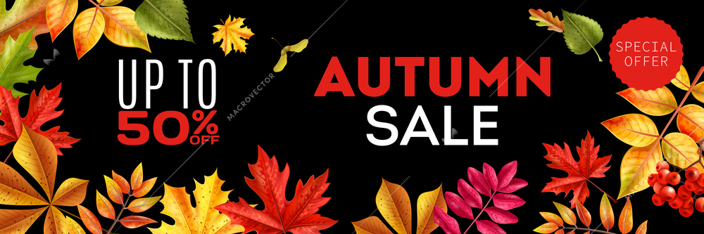 Realistic fall sale horizontal poster background with editable text discount and colourful images of fallen leaves vector illustration