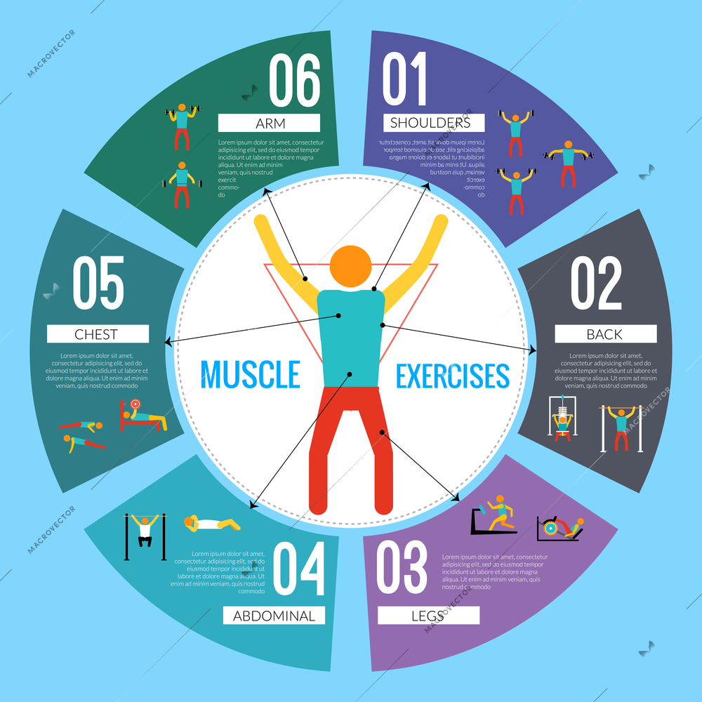 Workout sport and fitness training muscle exercises infographic vector illustration