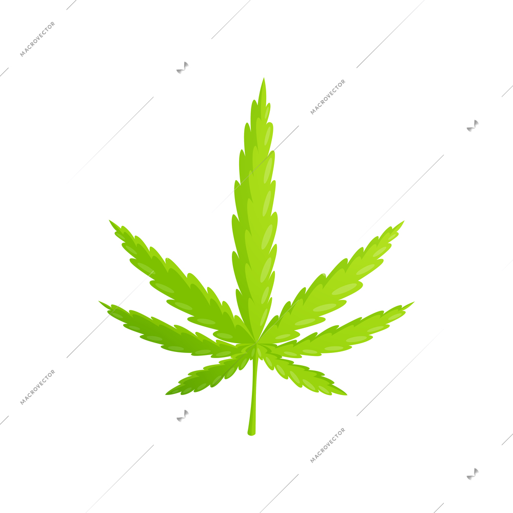 Medical marijuana cannabis drugs flat composition with isolated image of ripe hemp leaf vector illustration