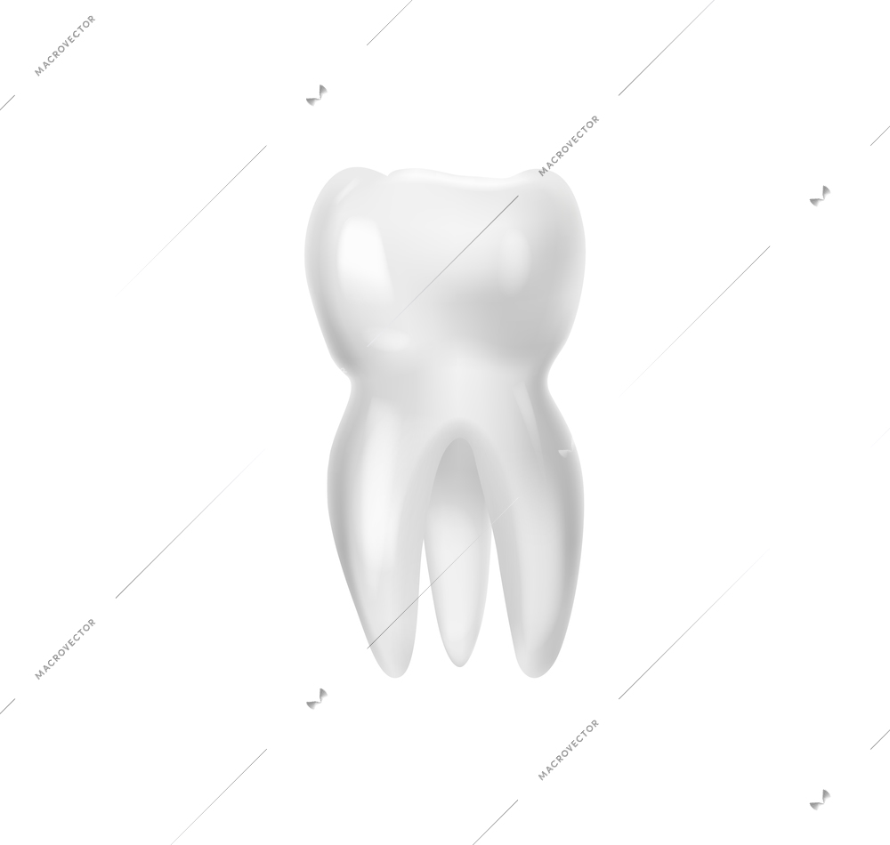 Realistic tooth anatomy composition with isolated image of huge wisdom tooth with root vector illustration