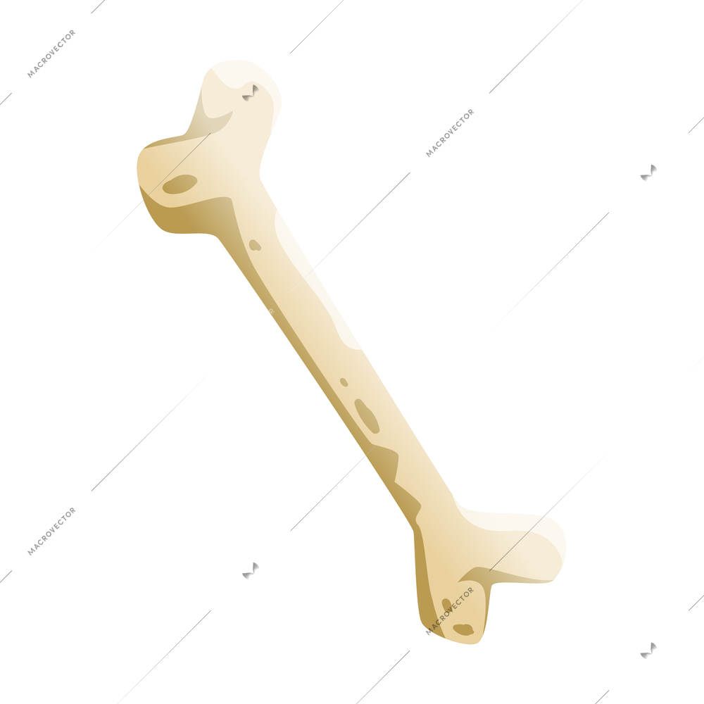 Halloween human bone with rip symbols scary vector illustration